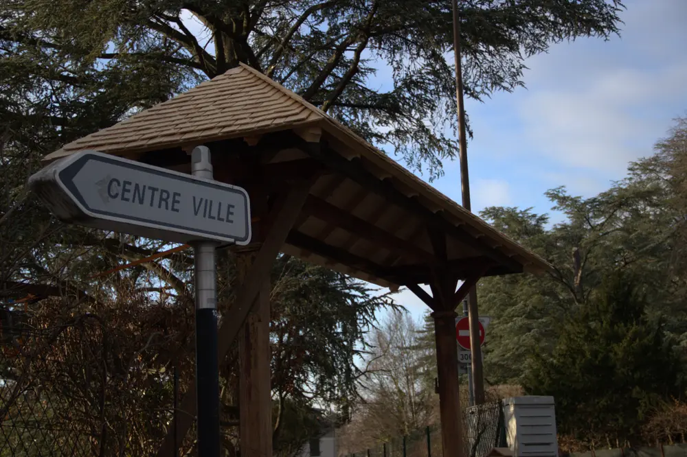 Vue rapprochée des tavaillons en bois superposés en rangs sur le toit de l’auvent